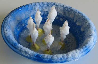 Water Cycle Experiment, Salt on a Stick