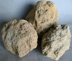 Pumice